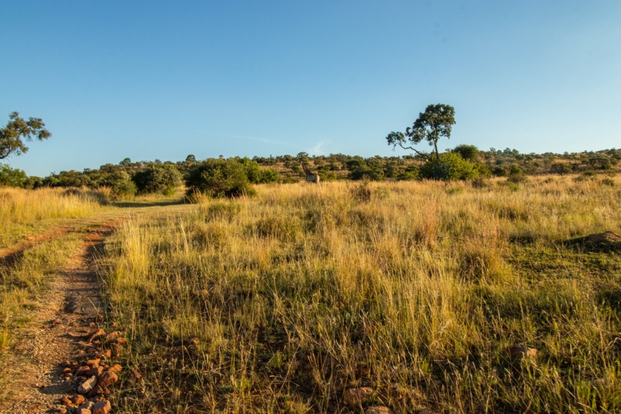 Commercial Property for Sale in Fairfield Gauteng
