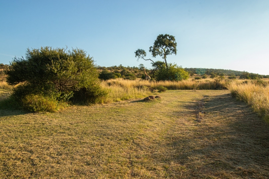 Commercial Property for Sale in Fairfield Gauteng