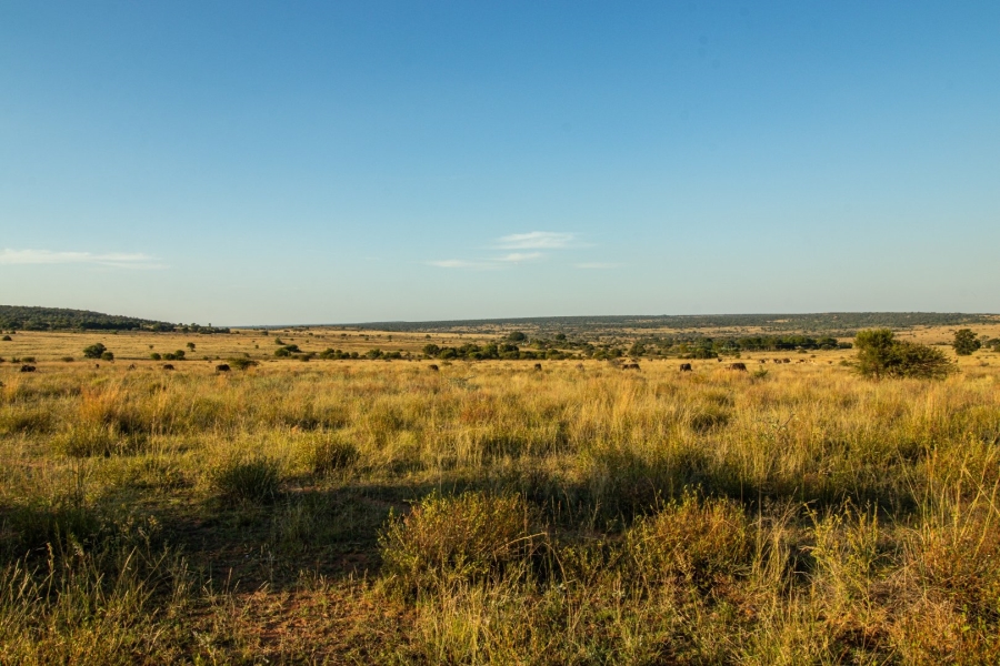 Commercial Property for Sale in Fairfield Gauteng