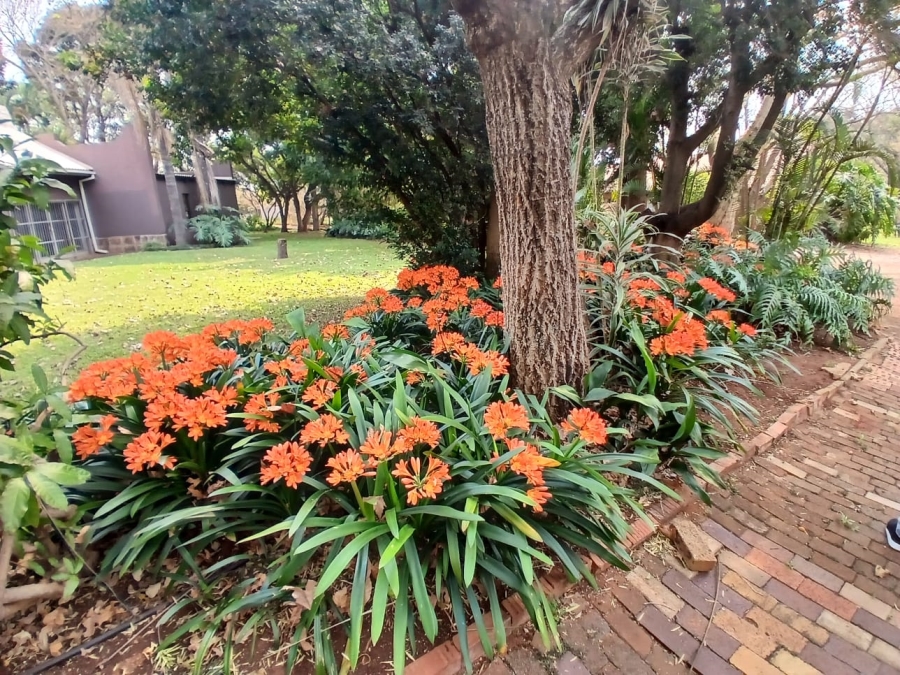 9 Bedroom Property for Sale in Patryshoek A H Gauteng