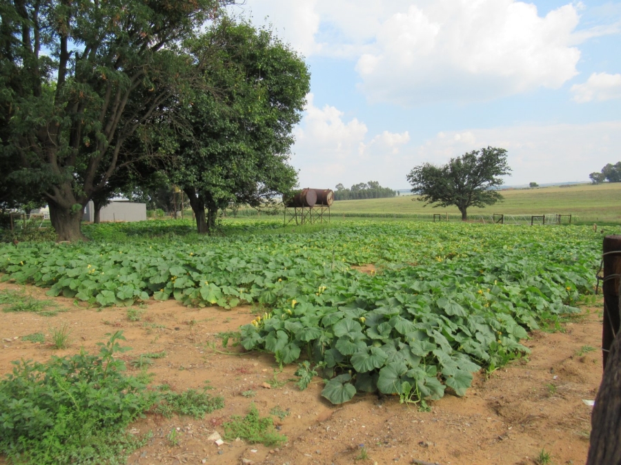 Commercial Property for Sale in Bronkhorstspruit Rural Gauteng