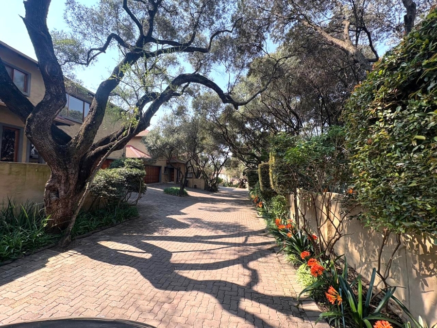 To Let 3 Bedroom Property for Rent in Olivedale Gauteng
