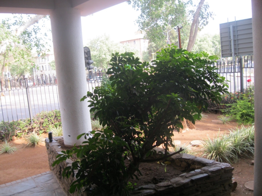 To Let 3 Bedroom Property for Rent in Arcadia Gauteng