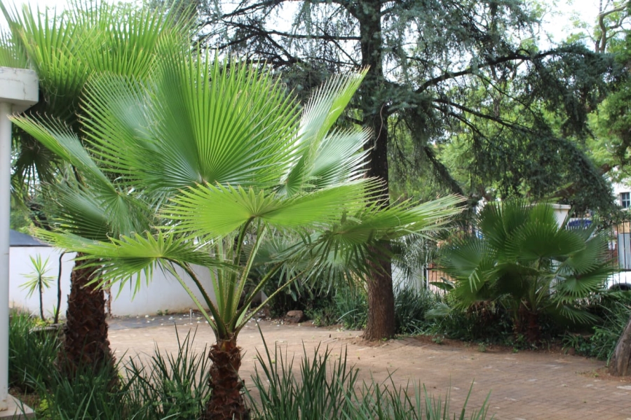 5 Bedroom Property for Sale in Hatfield Gauteng