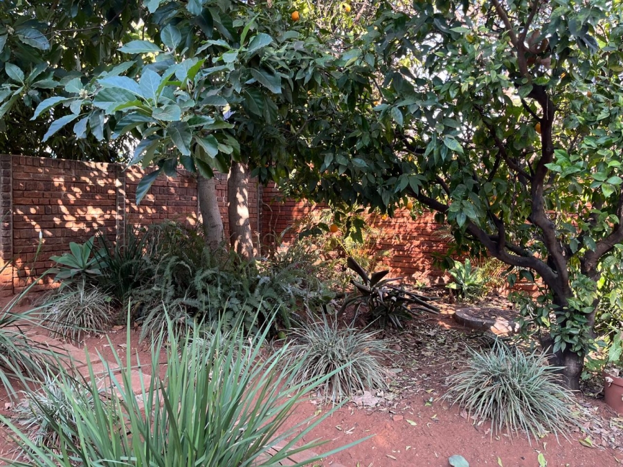 To Let 4 Bedroom Property for Rent in Theresa Park Gauteng