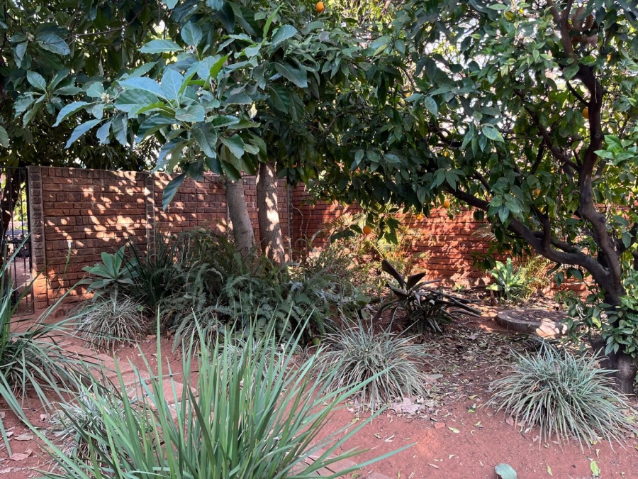 To Let 4 Bedroom Property for Rent in Theresa Park Gauteng