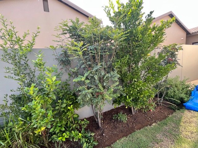 3 Bedroom Property for Sale in Barbeque Downs Gauteng