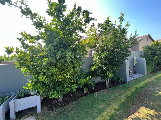 3 Bedroom Property for Sale in Barbeque Downs Gauteng