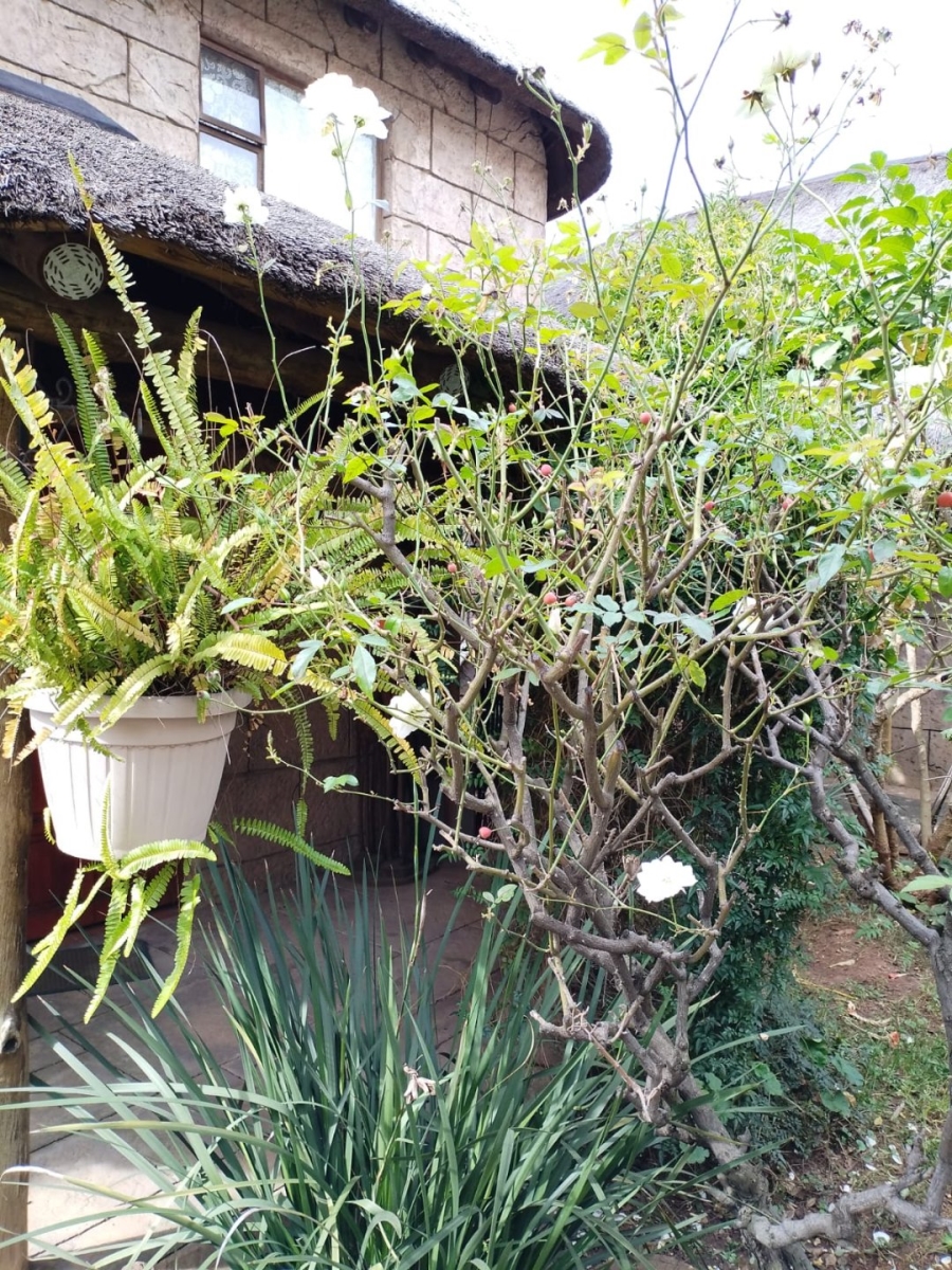 17 Bedroom Property for Sale in Kempton Park Ah Gauteng