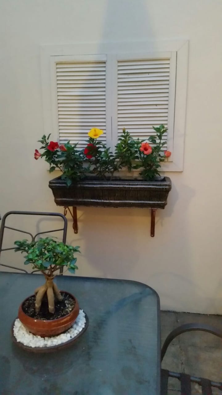 3 Bedroom Property for Sale in Hatfield Gauteng