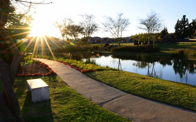  Bedroom Property for Sale in Paradiso Gauteng