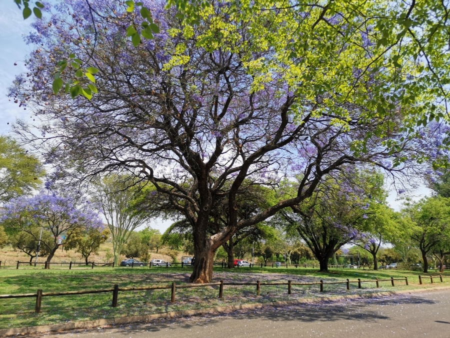 Commercial Property for Sale in Tileba Gauteng