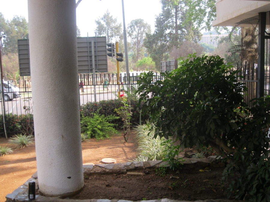To Let 3 Bedroom Property for Rent in Arcadia Gauteng