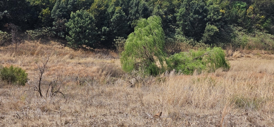 Commercial Property for Sale in Zwavelpoort Gauteng