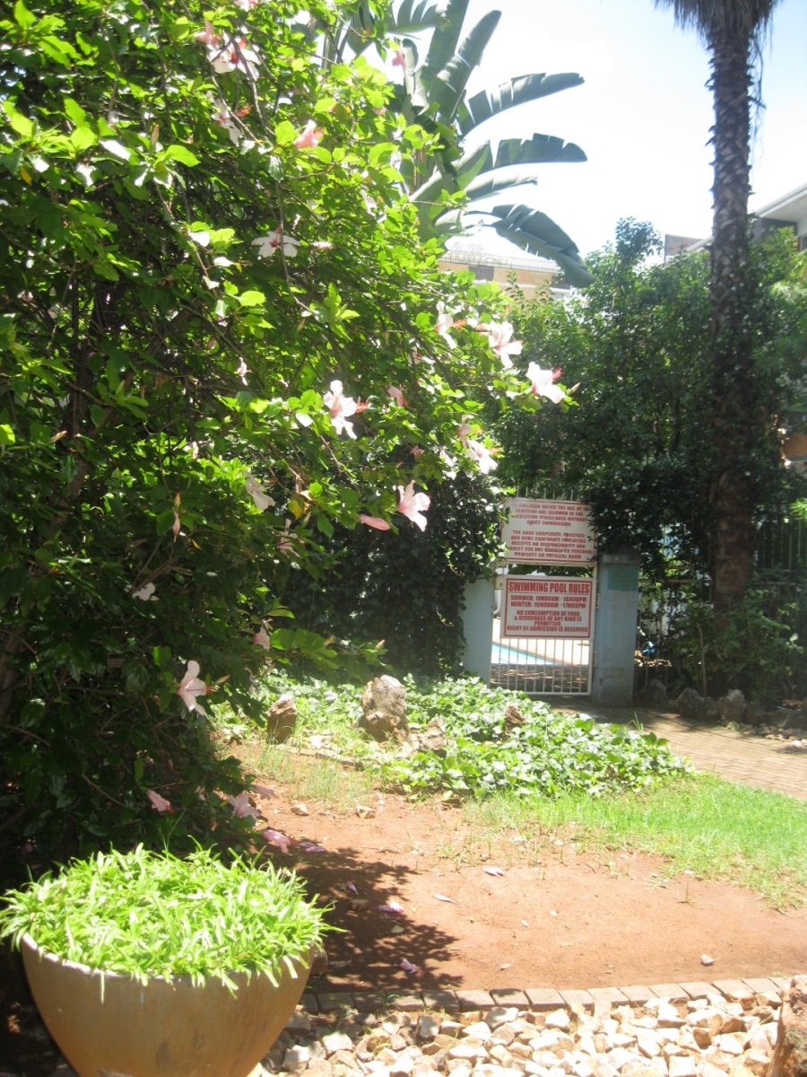 To Let 2 Bedroom Property for Rent in Arcadia Gauteng