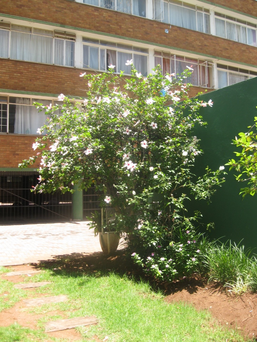To Let 2 Bedroom Property for Rent in Arcadia Gauteng