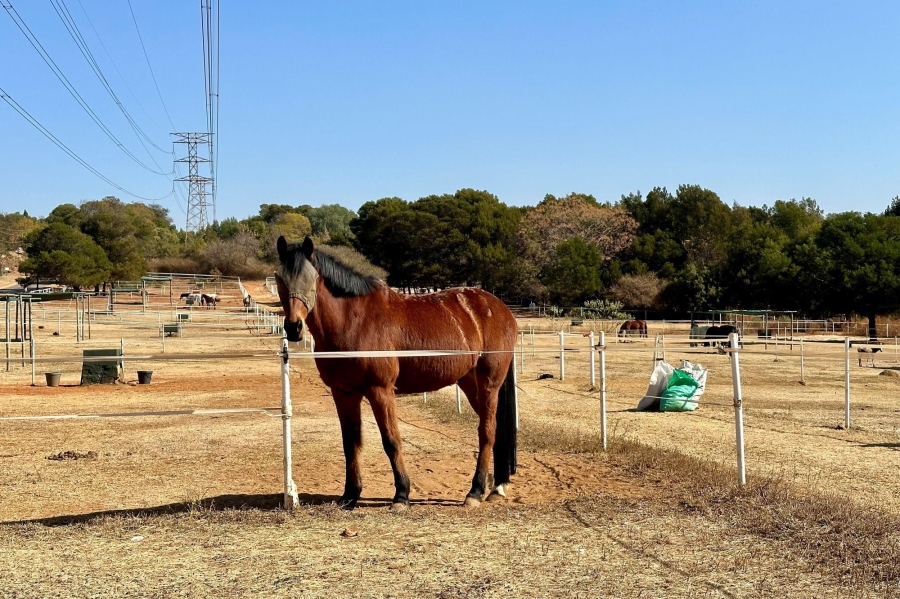 5 Bedroom Property for Sale in Mooikloof Equestrian Estate Gauteng