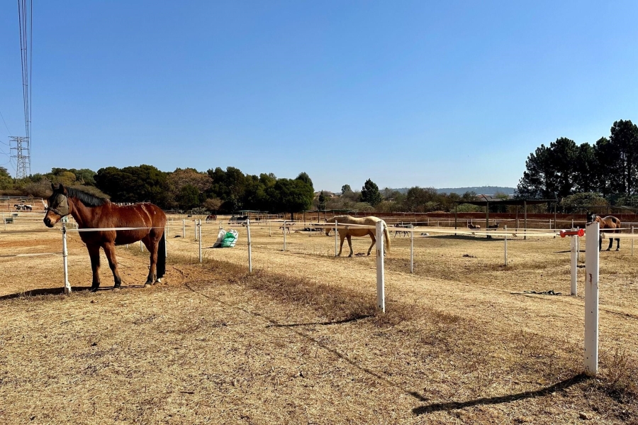 5 Bedroom Property for Sale in Mooikloof Equestrian Estate Gauteng