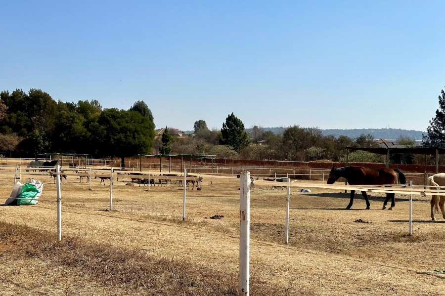 5 Bedroom Property for Sale in Mooikloof Equestrian Estate Gauteng