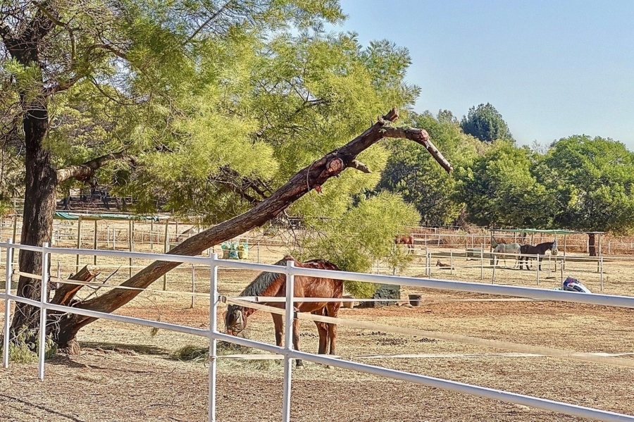 5 Bedroom Property for Sale in Mooikloof Equestrian Estate Gauteng