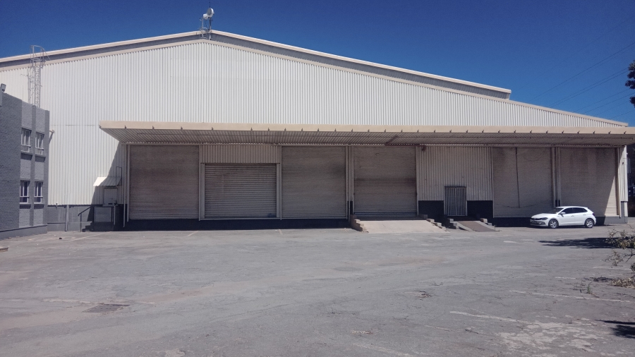 To Let commercial Property for Rent in Cleveland Gauteng