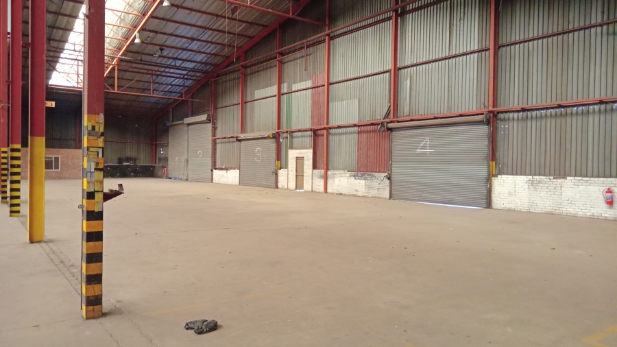 To Let commercial Property for Rent in Cleveland Gauteng