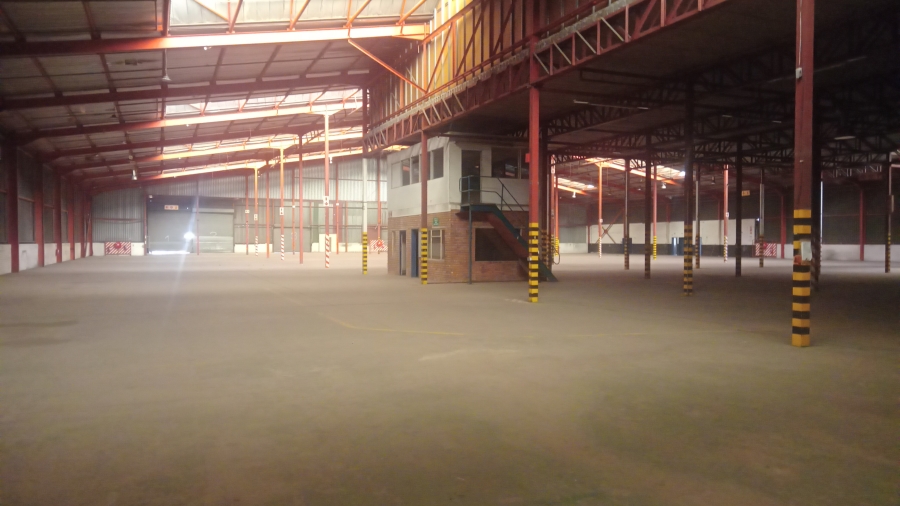 To Let commercial Property for Rent in Cleveland Gauteng