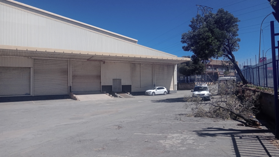 To Let commercial Property for Rent in Cleveland Gauteng