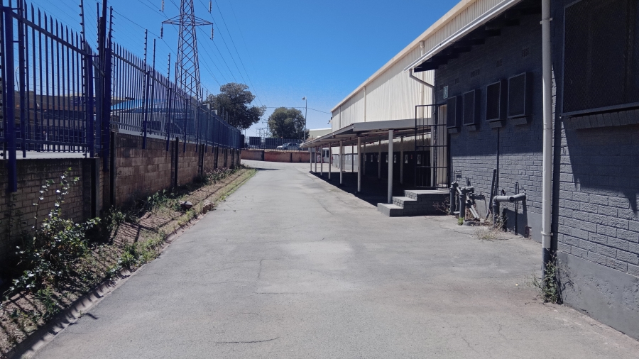 To Let commercial Property for Rent in Cleveland Gauteng