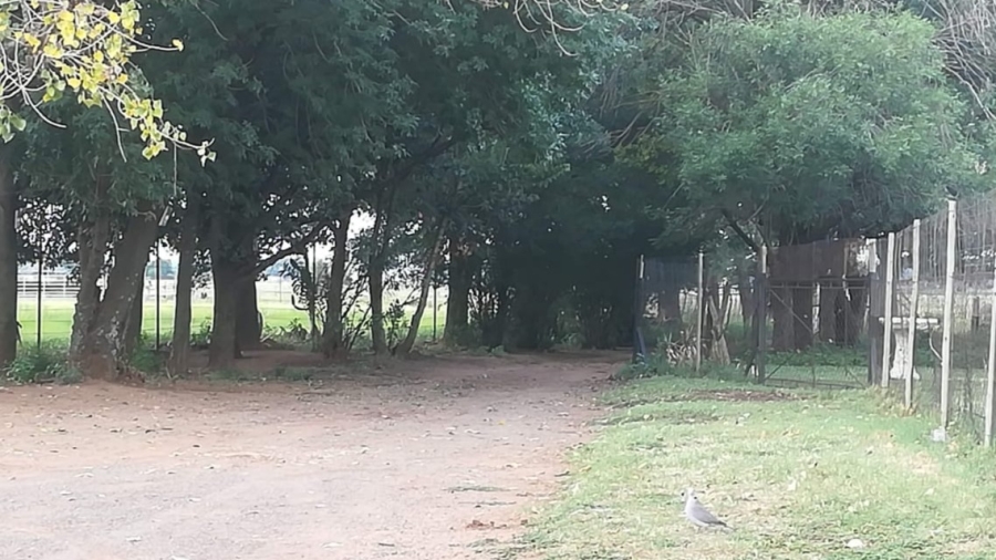 4 Bedroom Property for Sale in Zuurfontein Gauteng