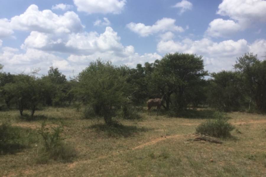 0 Bedroom Property for Sale in Dinokeng Game Reserve Gauteng