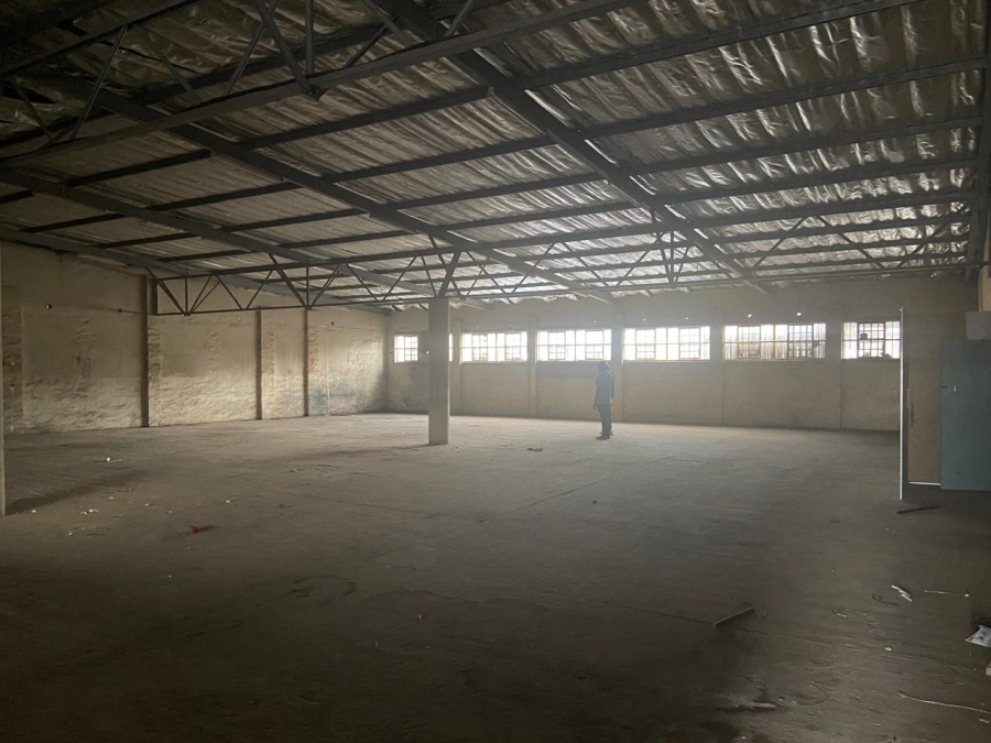 To Let commercial Property for Rent in Primrose Gauteng