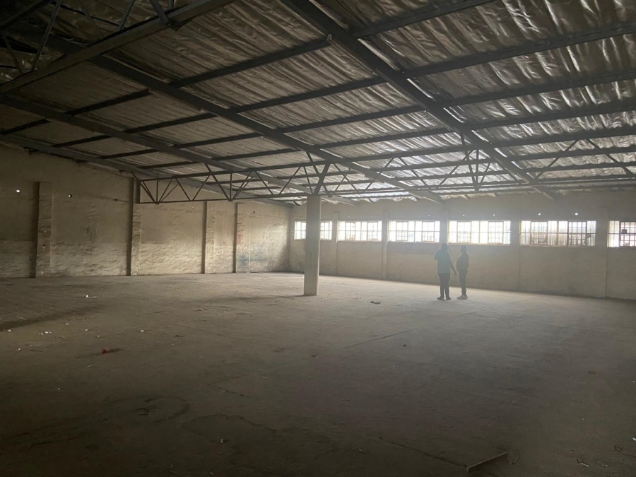 To Let commercial Property for Rent in Primrose Gauteng