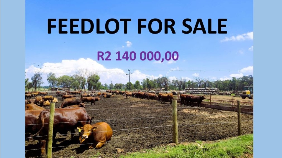 3 Bedroom Property for Sale in Roodepoort AH Gauteng