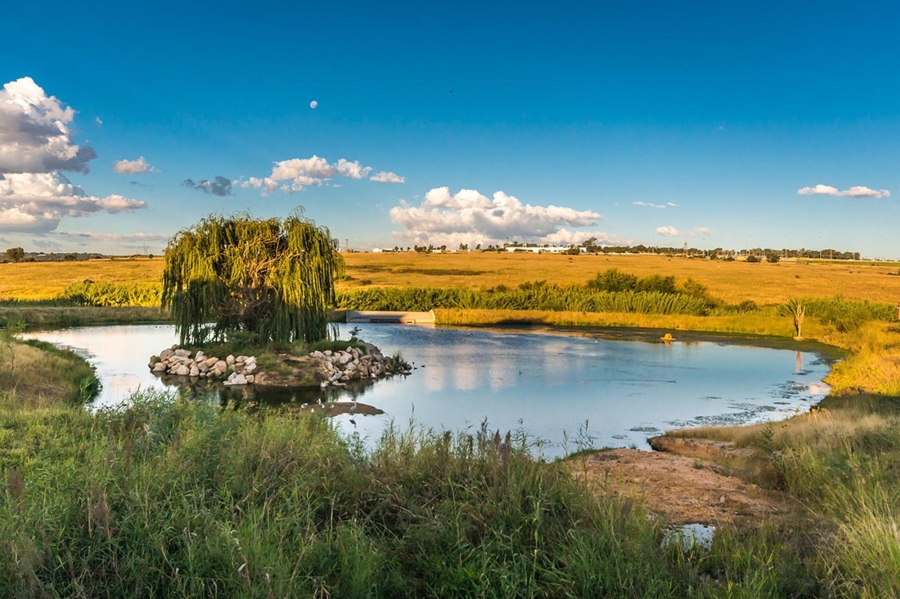 To Let 3 Bedroom Property for Rent in Waterfall Gauteng