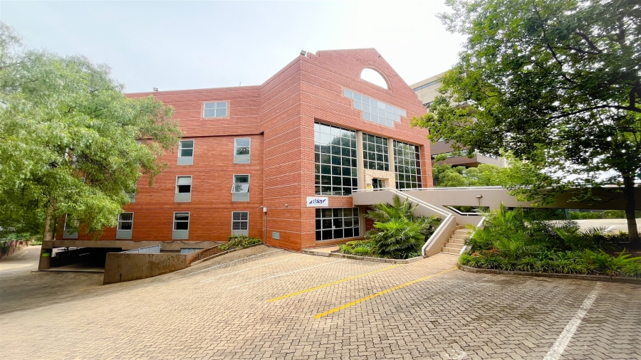 To Let commercial Property for Rent in Parktown Gauteng