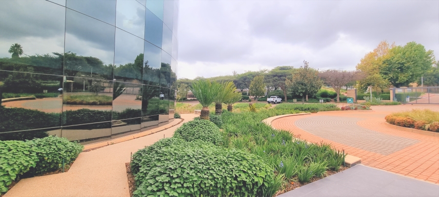 To Let commercial Property for Rent in Gallo Manor Gauteng