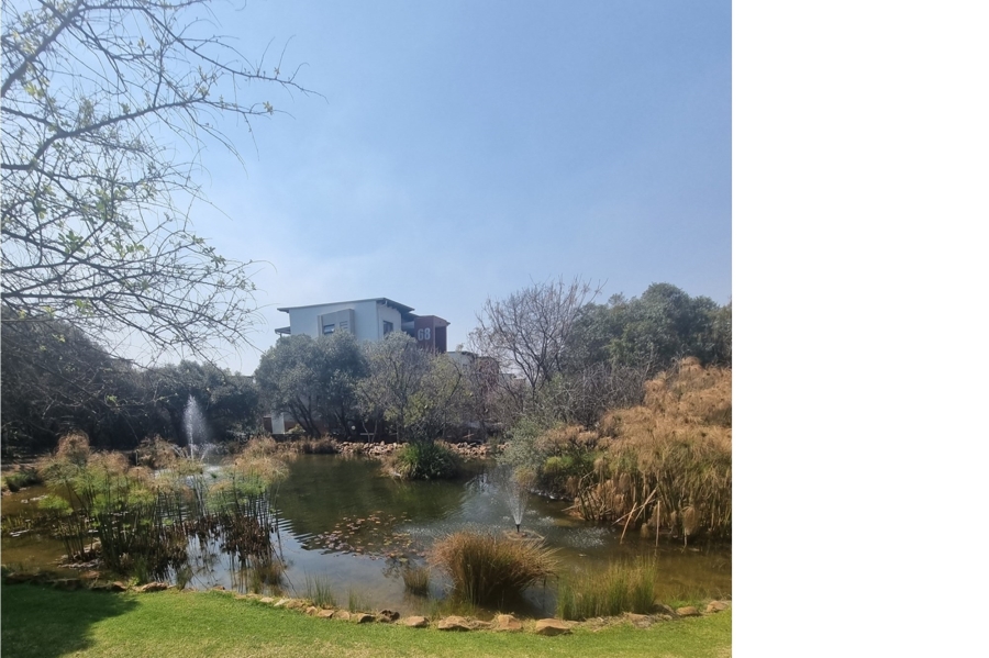 To Let 3 Bedroom Property for Rent in Fourways Gauteng