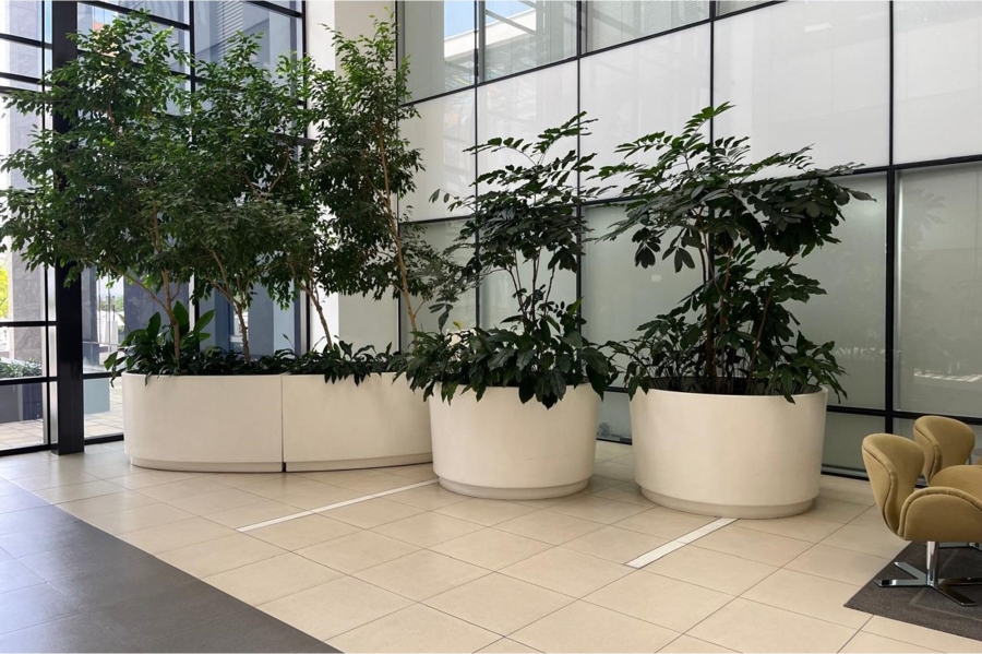 To Let commercial Property for Rent in Bryanston Gauteng