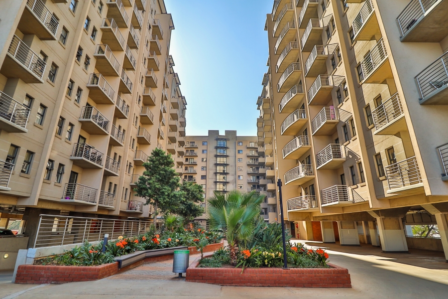 To Let 0 Bedroom Property for Rent in Hatfield Gauteng
