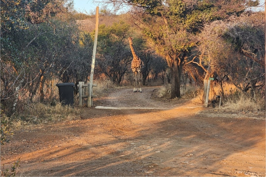 3 Bedroom Property for Sale in Buffelsdrift A H Gauteng