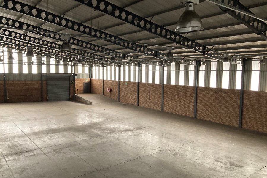 To Let commercial Property for Rent in Meadowdale Gauteng