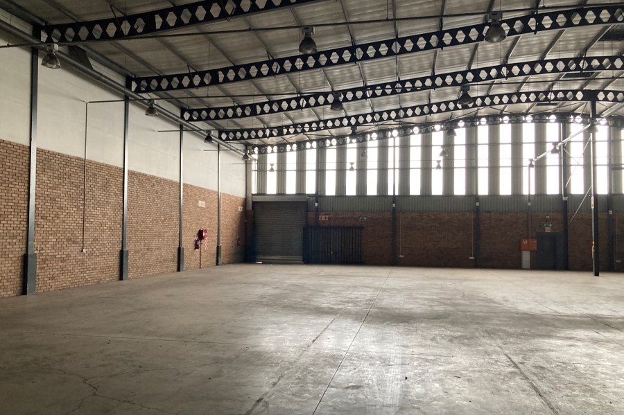To Let commercial Property for Rent in Meadowdale Gauteng