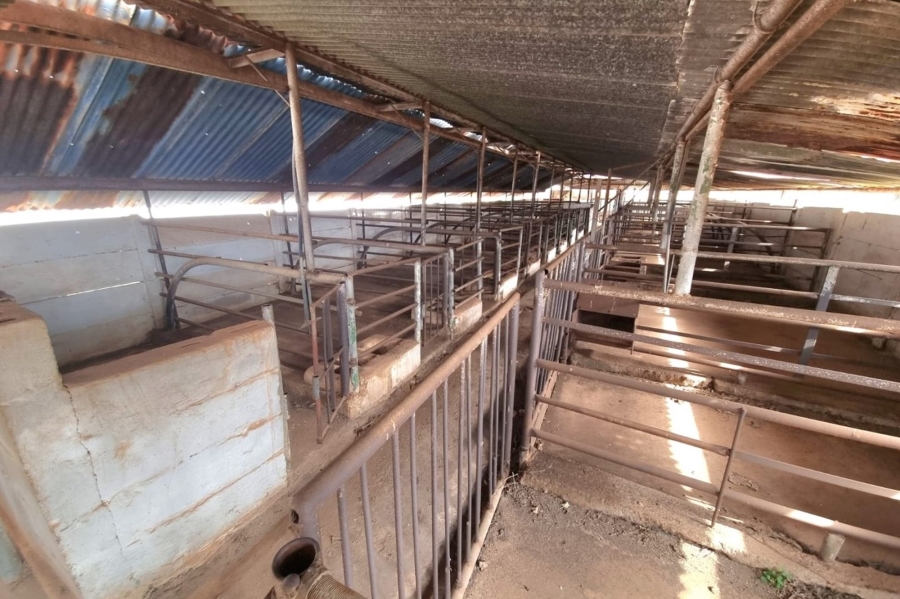 0 Bedroom Property for Sale in Ystervarkfontein Gauteng