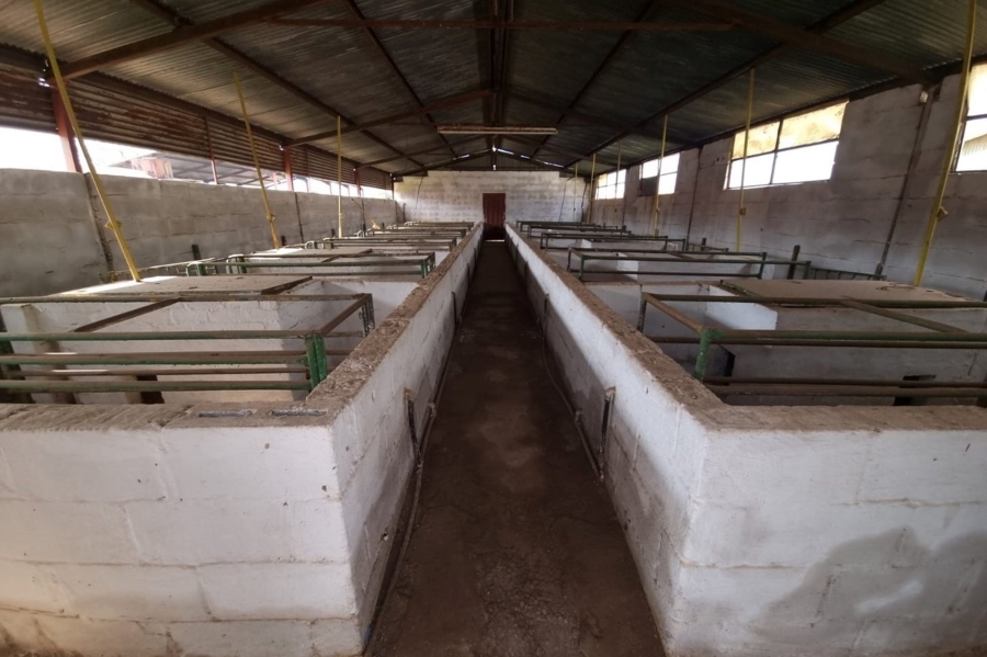 0 Bedroom Property for Sale in Ystervarkfontein Gauteng