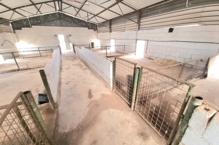 0 Bedroom Property for Sale in Ystervarkfontein Gauteng