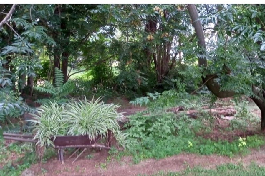 3 Bedroom Property for Sale in Mooilande Gauteng