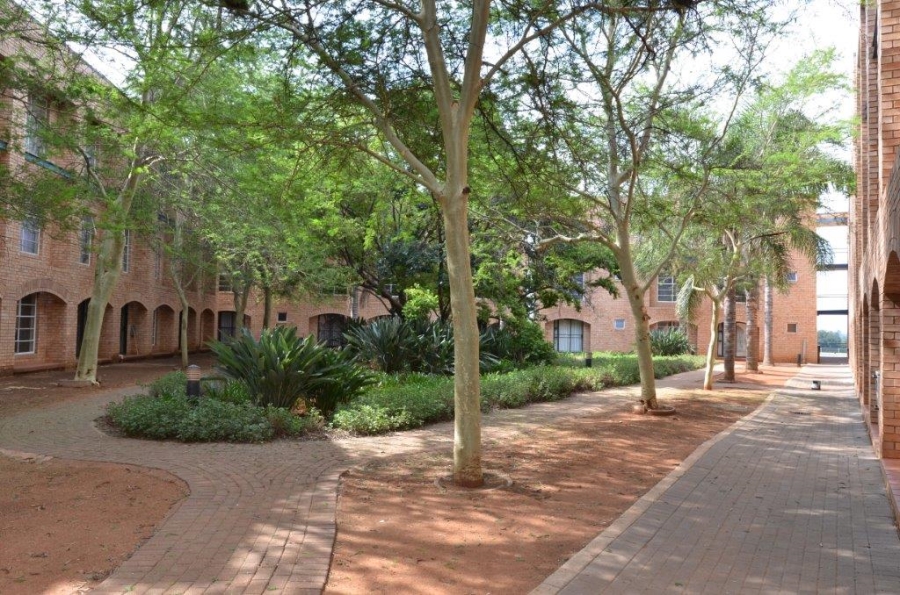 To Let 0 Bedroom Property for Rent in Hatfield Gauteng