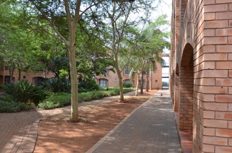 To Let 0 Bedroom Property for Rent in Hatfield Gauteng
