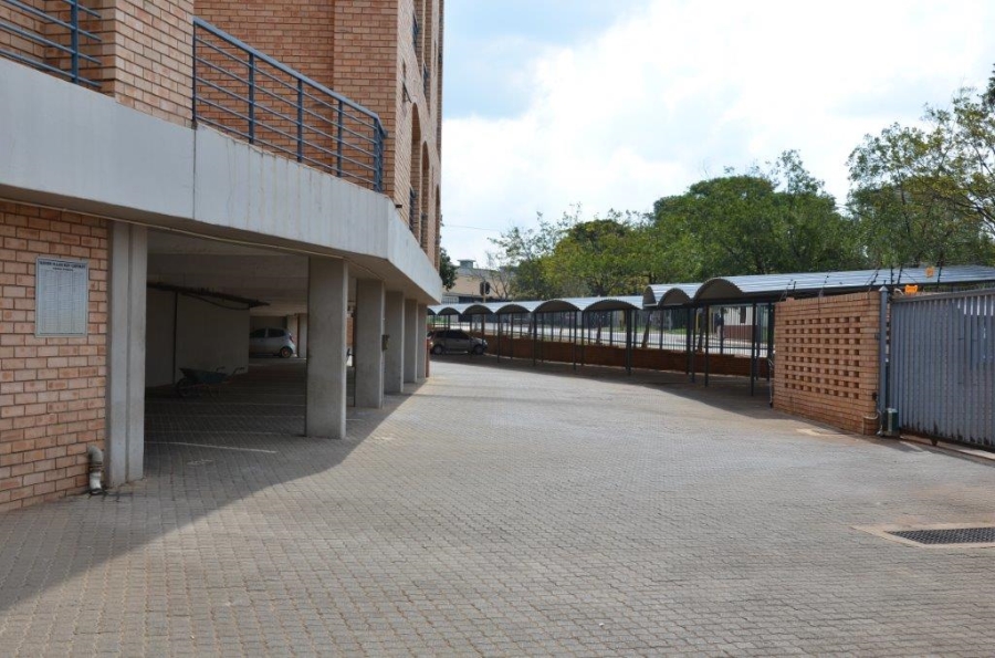 To Let 0 Bedroom Property for Rent in Hatfield Gauteng